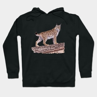 Eurasian Lynx Hoodie